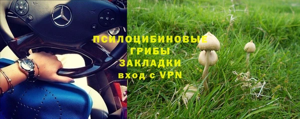дурь Алексин