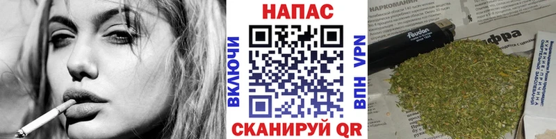 Бошки Шишки сатива  Агидель 